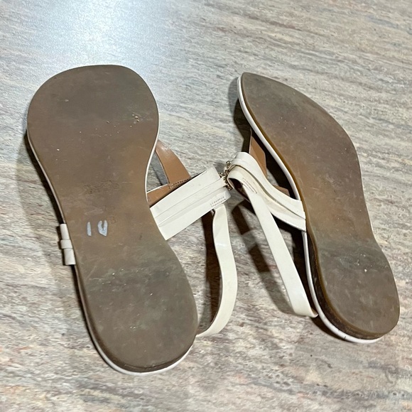 Coach Caterine thong strapped off-white sandals - Picture 13 of 15